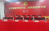 长沙市武术协会第二届换届选举大会于9月26日在国义堂隆重举行